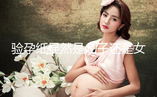 驗(yàn)孕紙顯然是兒子還是女兒看到了兩條線，準(zhǔn)備懷孕的收藏