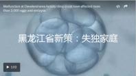 黑龍江省新策：失獨家庭最高可獲5000元補助金