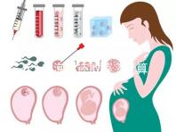 6個卵泡你還敢等？就算試管嬰兒也難一次成功！