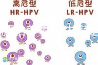 6個胚胎養囊成功率是多大答案在這，能配成3個機會就大