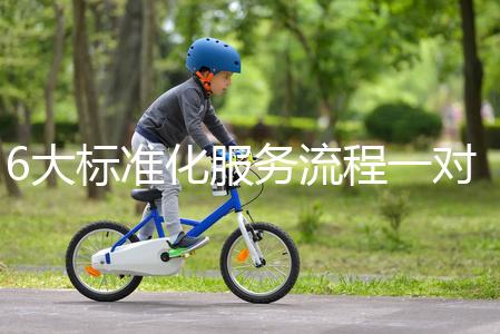 6大標準化服務流程一對一貼心服務，全程中文陪同