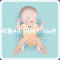 6細(xì)胞4級(jí)胚胎成功率高是謠言，移植后不易著床還風(fēng)險(xiǎn)大