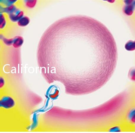 California Cryobank，加州精子銀行實用指南