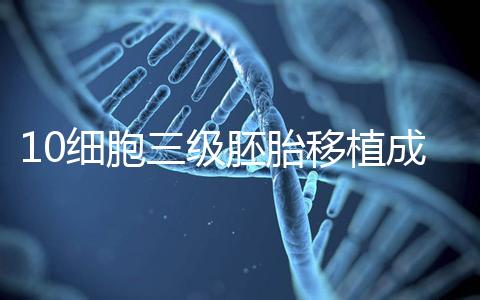 10細胞三級胚胎移植成功率多少看情況,身體好最快6天著床