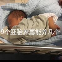 19個(gè)胚胎養(yǎng)囊能養(yǎng)幾個(gè)真難說，質(zhì)量好都成功了也屬正常