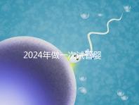 2024年做一次試管嬰兒費(fèi)用詳解:最新一/二/三代試管費(fèi)用明細(xì)實(shí)時(shí)更新