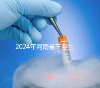 2024年河南省三胎生育津貼發生變化！南陽和信陽最高獎勵20萬！