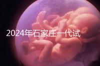 2024年石家莊一代試管總費用公開,包括詳細(xì)的助孕檢查項目