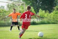 2024生3胎國家有補貼多少錢、在哪領全囊括,最高可達...