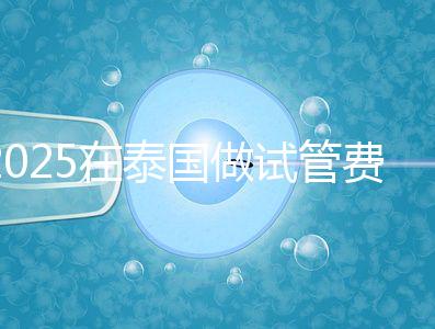 2025在泰國(guó)做試管費(fèi)用預(yù)估,助孕一次不到10萬(wàn)