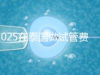2025在泰國做試管費用預估，助孕一次不到10萬