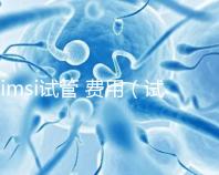 imsi試管 費(fèi)用(試管imsi是什么意思)